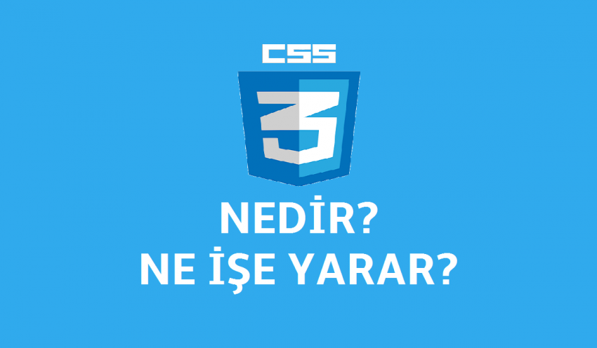 Css Nedir?