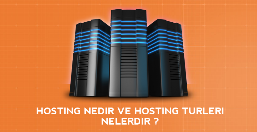 SEO Hosting Nedir?