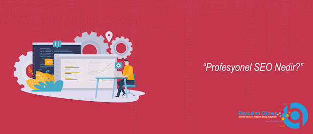 Profesyonel SEO Nedir?
