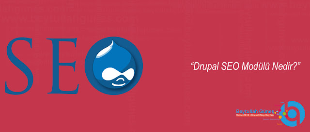 Drupal SEO Modülü Nedir?