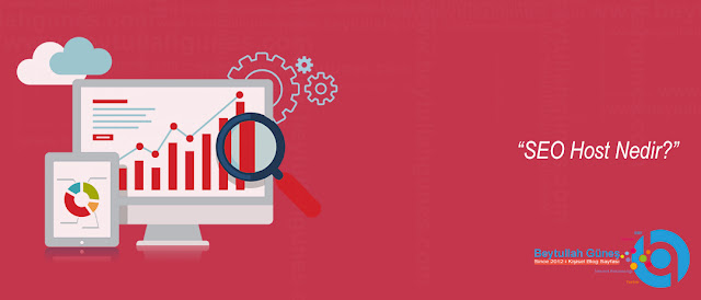 SEO Host Nedir?