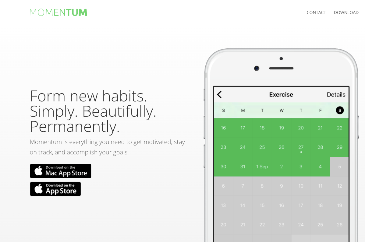Momentum