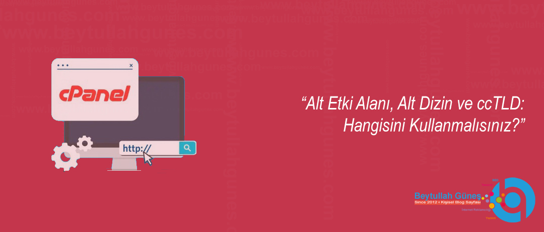 Alt Etki Alanı, Alt Dizin ve ccTLD: Hangisini Kullanmalısınız?