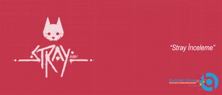 Stray İnceleme