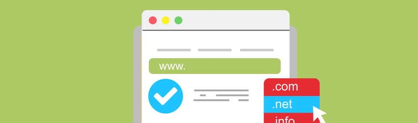 SEO için Domain Yaşı Sorgula
