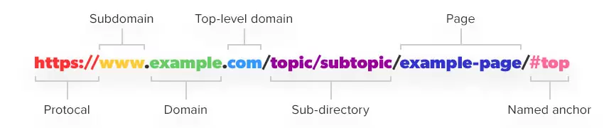 Bir Domainin Bölümleri Nelerdir?