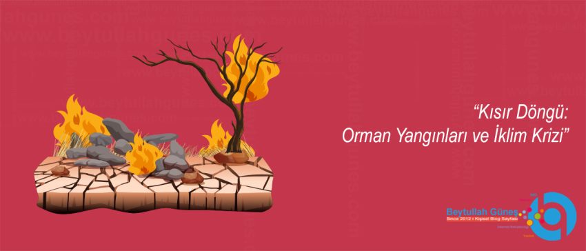 Kısır Döngü: Orman Yangınları ve İklim Krizi